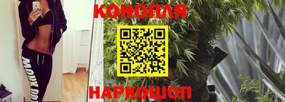 прущая мука Сланцы